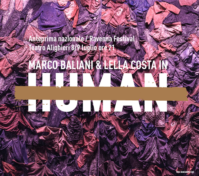human800x800s.jpg